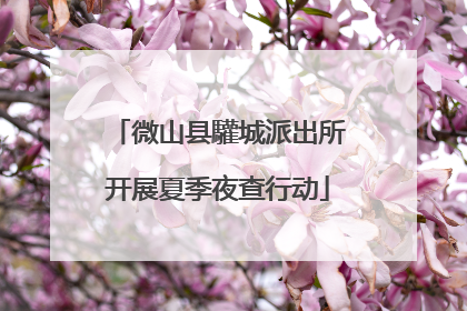 微山县驩城派出所开展夏季夜查行动