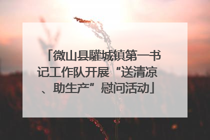 微山县驩城镇第一书记工作队开展“送清凉、助生产”慰问活动