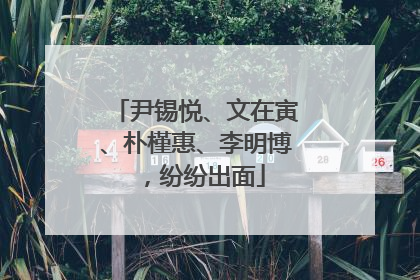 尹锡悦、文在寅、朴槿惠、李明博，纷纷出面