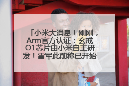 小米大消息！刚刚，Arm官方认证：玄戒O1芯片由小米自主研发！雷军此前称已开始大规模量产