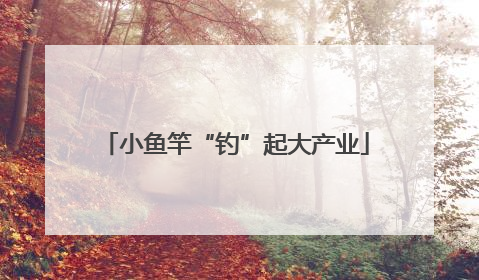 小鱼竿“钓”起大产业