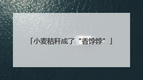 小麦秸秆成了“香饽饽”