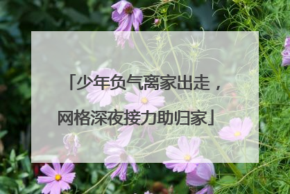 少年负气离家出走，网格深夜接力助归家
