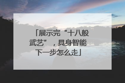 展示完“十八般武艺”，具身智能下一步怎么走