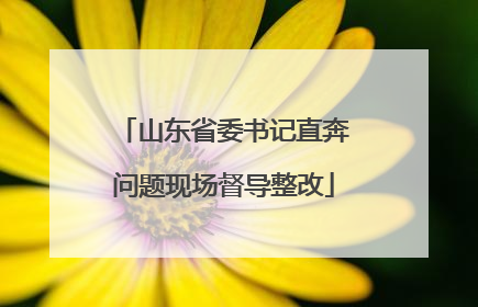 山东省委书记直奔问题现场督导整改