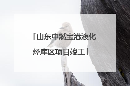 山东中燃宝港液化烃库区项目竣工