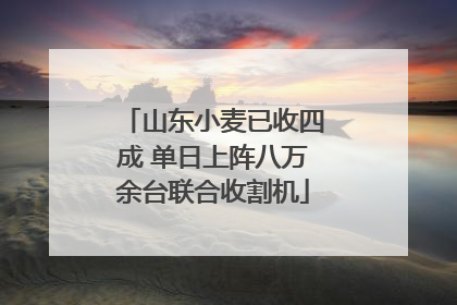 山东小麦已收四成 单日上阵八万余台联合收割机