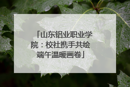山东铝业职业学院：校社携手共绘端午温暖画卷