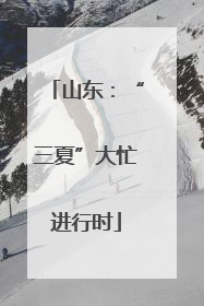 山东：“三夏”大忙进行时
