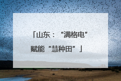 山东：“满格电”赋能“慧种田”
