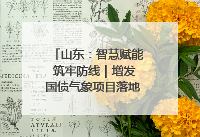 山东：智慧赋能 筑牢防线｜增发国债气象项目落地见效系列报道