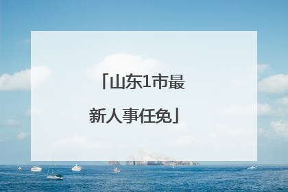 山东1市最新人事任免