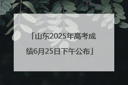 山东2025年高考成绩6月25日下午公布
