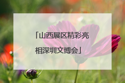 山西展区精彩亮相深圳文博会