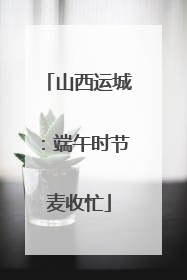 山西运城：端午时节麦收忙