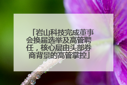 岩山科技完成董事会换届选举及高管聘任，核心层由头部券商背景的高管掌控