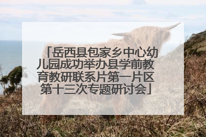 岳西县包家乡中心幼儿园成功举办县学前教育教研联系片第一片区第十三次专题研讨会