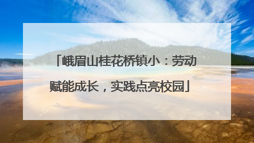峨眉山桂花桥镇小：劳动赋能成长，实践点亮校园
