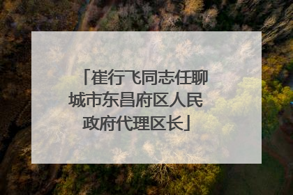 崔行飞同志任聊城市东昌府区人民政府代理区长