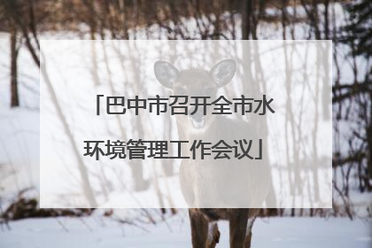 巴中市召开全市水环境管理工作会议