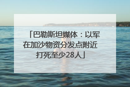 巴勒斯坦媒体：以军在加沙物资分发点附近打死至少28人