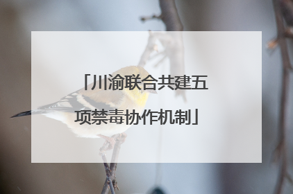 川渝联合共建五项禁毒协作机制