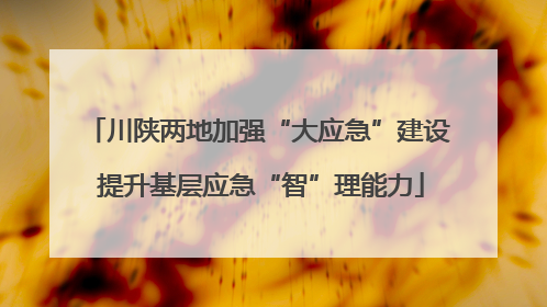川陕两地加强“大应急”建设 提升基层应急“智”理能力
