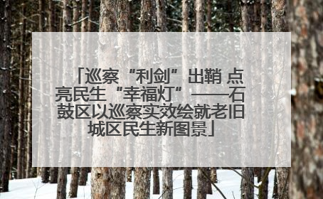 巡察“利剑”出鞘 点亮民生“幸福灯”——石鼓区以巡察实效绘就老旧城区民生新图景