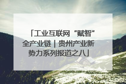 工业互联网“赋智”全产业链｜贵州产业新势力系列报道之八
