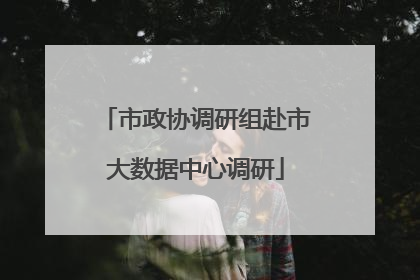 市政协调研组赴市大数据中心调研