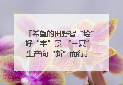 希望的田野智“绘”好“丰”景 “三夏”生产向“新”而行