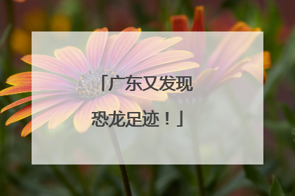 广东又发现恐龙足迹！