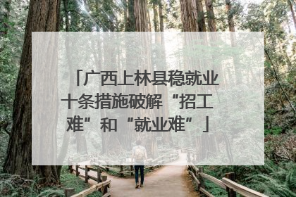 广西上林县稳就业十条措施破解“招工难”和“就业难”