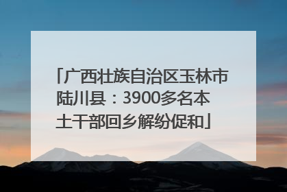 广西壮族自治区玉林市陆川县：3900多名本土干部回乡解纷促和