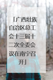 广西壮族自治区总工会十三届十二次全委会议在南宁召开