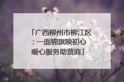 广西柳州市柳江区：一面锦旗映初心 暖心服务助营商