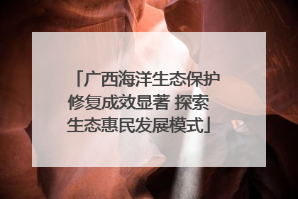 广西海洋生态保护修复成效显著 探索生态惠民发展模式