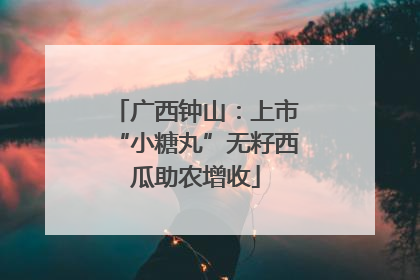 广西钟山：上市“小糖丸”无籽西瓜助农增收