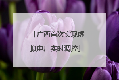 广西首次实现虚拟电厂实时调控