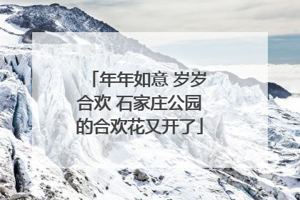 年年如意 岁岁合欢 石家庄公园的合欢花又开了