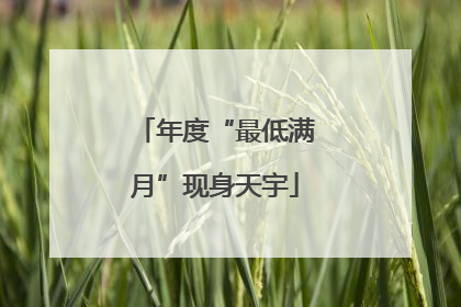 年度“最低满月”现身天宇