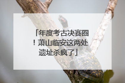 年度考古决赛圈！萧山临安这两处遗址杀疯了