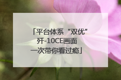 平台体系“双优” 歼-10CE画面一次带你看过瘾