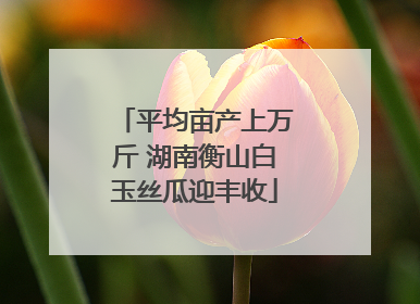 平均亩产上万斤 湖南衡山白玉丝瓜迎丰收
