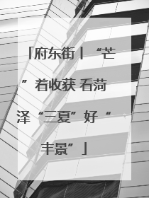 府东街丨“芒”着收获 看菏泽“三夏”好“丰景”