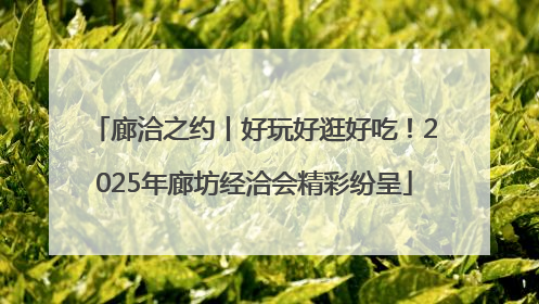 廊洽之约丨好玩好逛好吃！2025年廊坊经洽会精彩纷呈