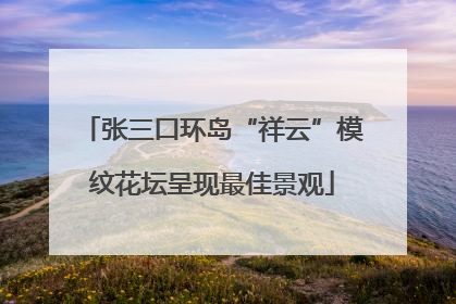 张三口环岛“祥云”模纹花坛呈现最佳景观