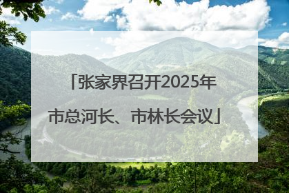 张家界召开2025年市总河长、市林长会议