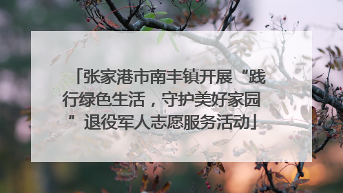 张家港市南丰镇开展“践行绿色生活，守护美好家园”退役军人志愿服务活动