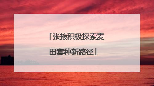 张掖积极探索麦田套种新路径
